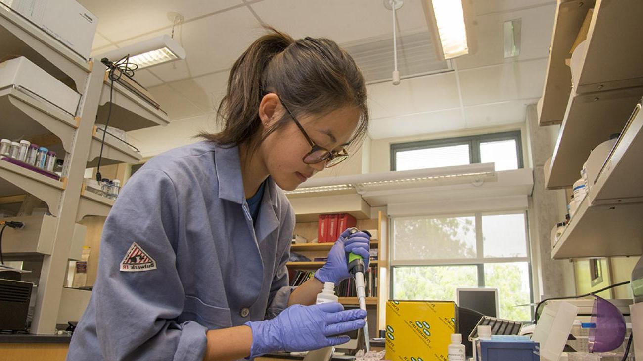 Research in Professor Tina Negritto’s lab